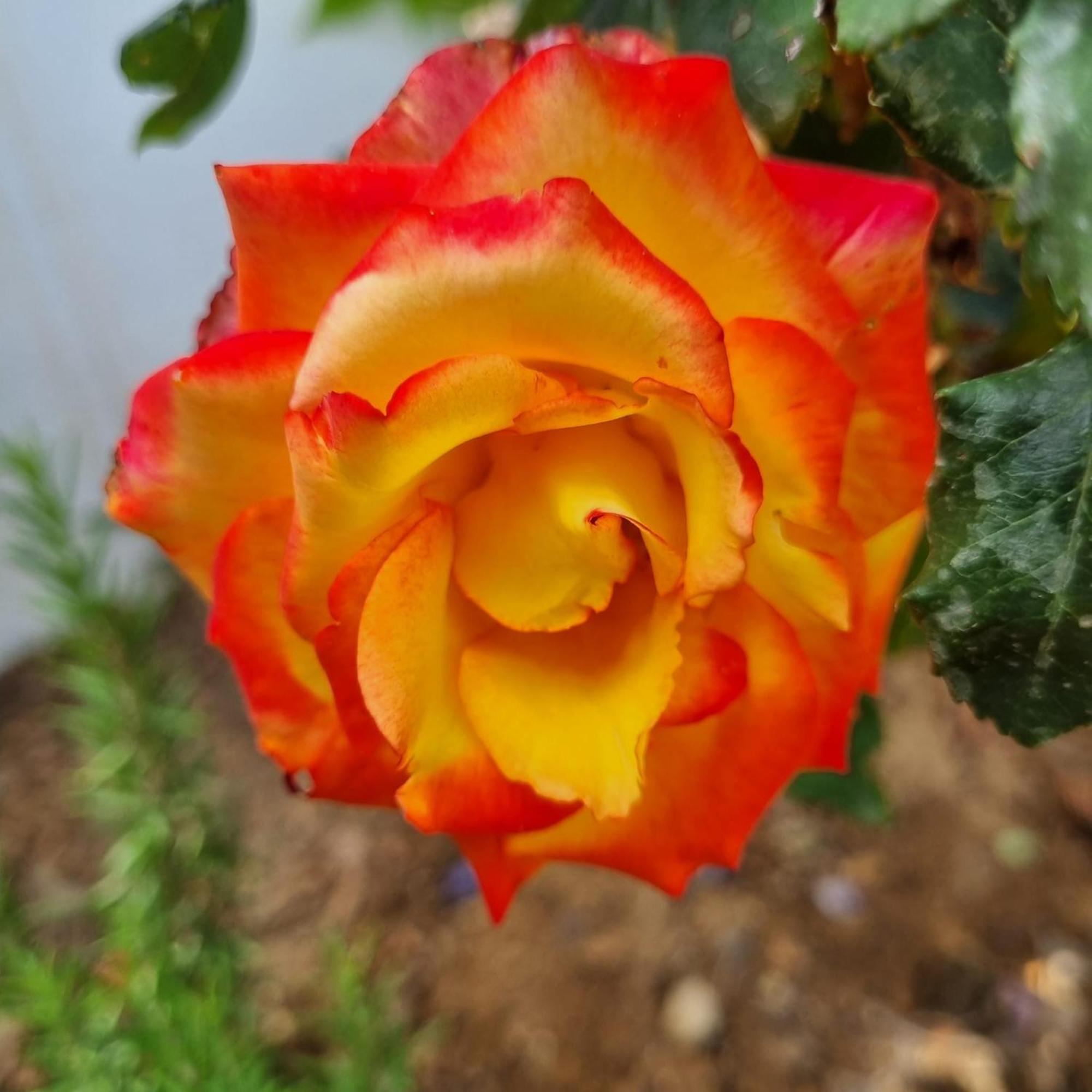 Afráta Infinity Wellness Boutique Hotel מראה חיצוני תמונה