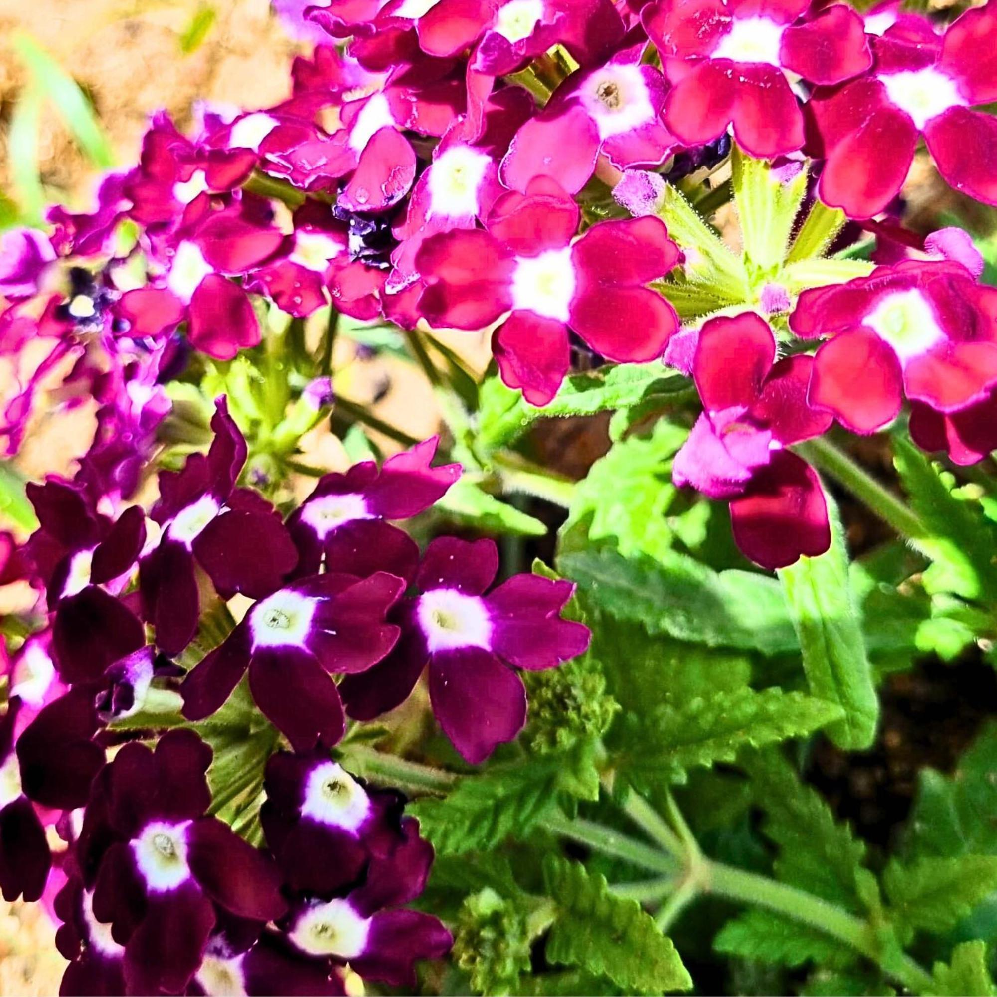 Afráta Infinity Wellness Boutique Hotel מראה חיצוני תמונה