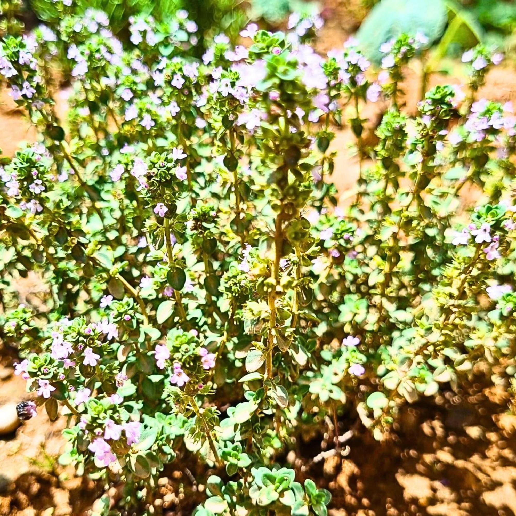 Afráta Infinity Wellness Boutique Hotel מראה חיצוני תמונה