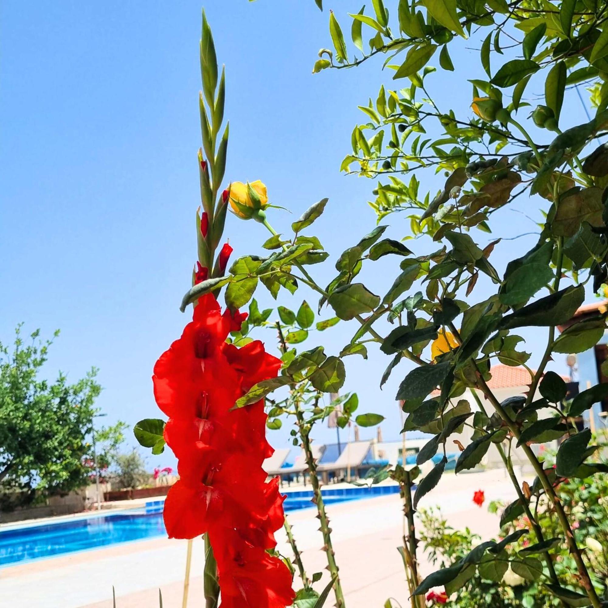 Afráta Infinity Wellness Boutique Hotel מראה חיצוני תמונה